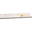 Woodware -The very useful ruler