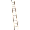 Enkele ladder 11 sporten (300 cm)