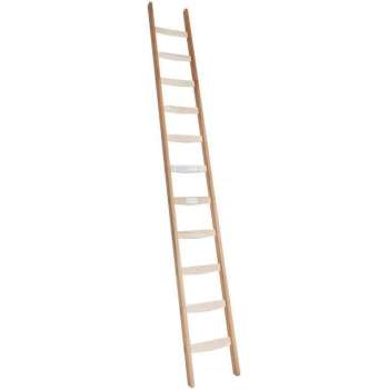 Enkele ladder 11 sporten (300 cm)