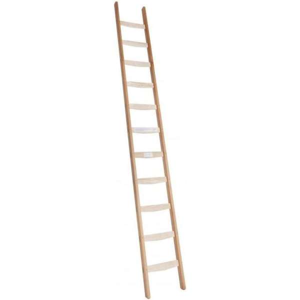 Enkele ladder 11 sporten (300 cm)