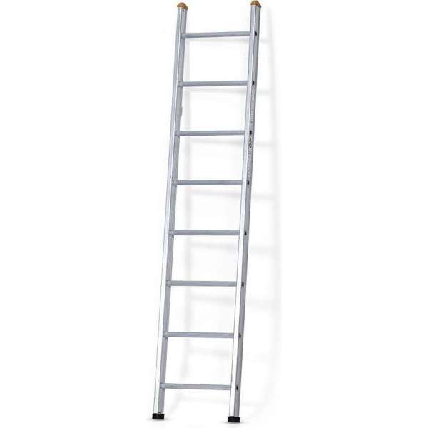 Castrex Easypro Enkele Ladder 9 sporten