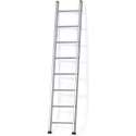 Castrex Easypro Enkele Ladder10 sporten