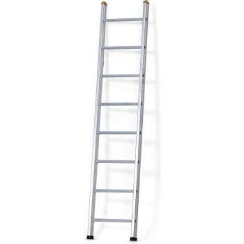 Castrex Easypro Enkele Ladder10 sporten