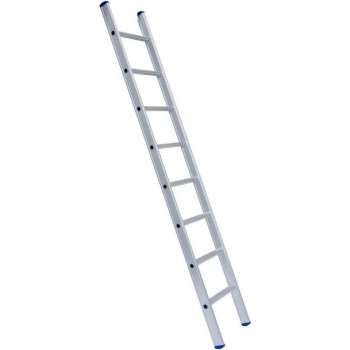 Eurostairs Enkele Ladder 1x 12 sporten | 3 meter | 3.25 lengte | Professioneel gebruik | 42/66 breedte | 7.4 kg