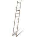 Ivana enkele ladder 10 treden 2.50mtr