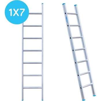 Eurostairs Ladder enkel recht 1x7 sporten