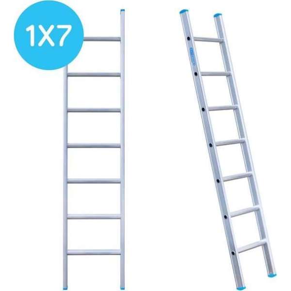 Eurostairs Ladder enkel recht 1x7 sporten