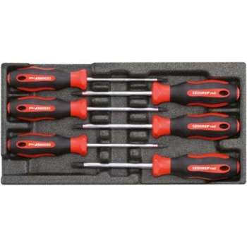 Gedore RED - R22150015 - Schroevendraaierset - 6-delig