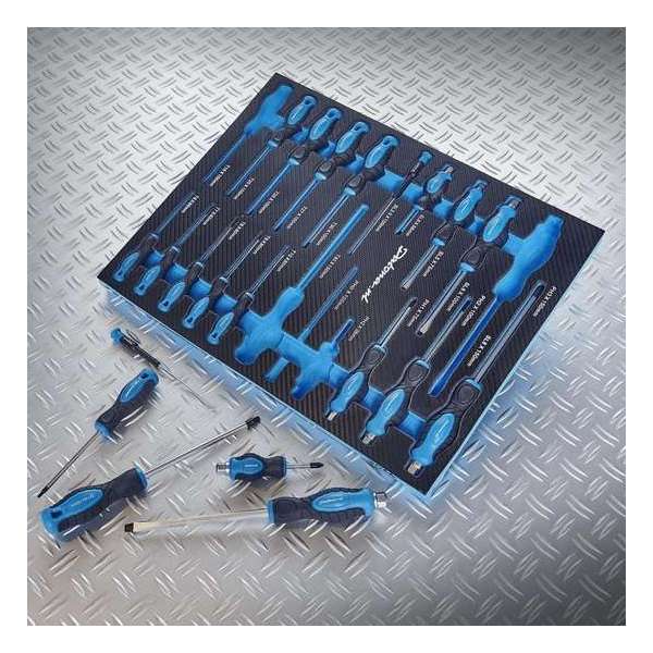 Datona® - Precisie en Torx Schroevendraaiersset - 21-delig - in PRO softmodule - Zeskant Handvat - Antislip - Blauw