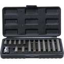 BGS - Torx bitset 15 delig - T20 - T25 - T30 - T40 - T45 - T50 - T55 - Komplete set -  BGS 5040