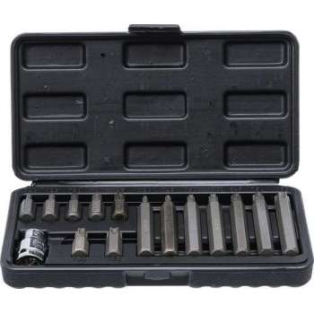 BGS - Torx bitset 15 delig - T20 - T25 - T30 - T40 - T45 - T50 - T55 - Komplete set -  BGS 5040