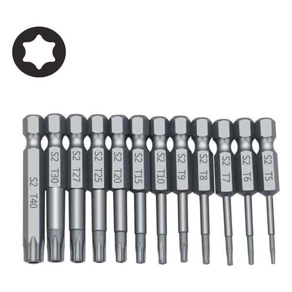 Bitset 12x Torx bitjes 6-punts 50mm lengte / T5 T6 T7 T8 T9 T10 T15 T20 T25 T27 T30 T40 / HaverCo