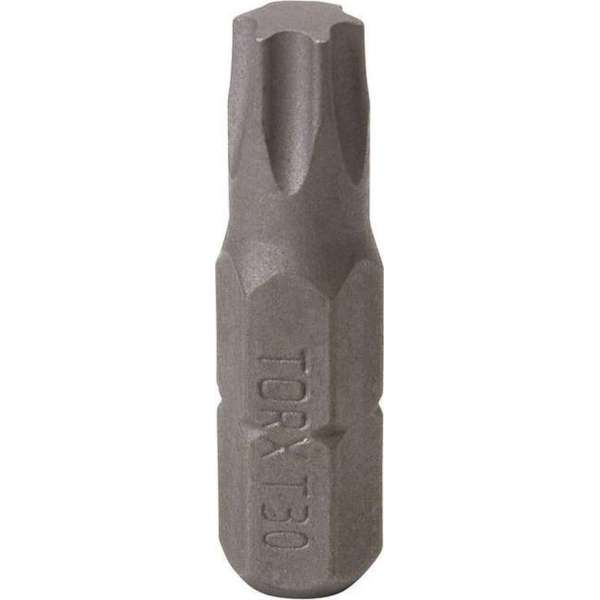 4Tecx Torx-Bit T25 25mm 10 stuks/Blister