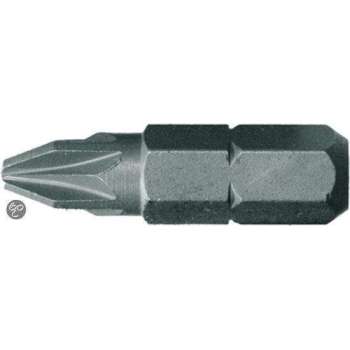 Skandia Schroefbit Torx - TX 20 x 25 mm