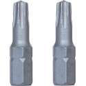 Wovar Torx Bit TX25 25mm - 2 Stuks