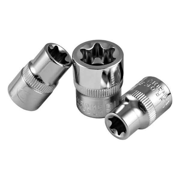 JBM Tools | 3/8" TORX SOCKET E16 - CHROMED