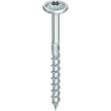 Heco Topix Plus tellerkopschroef vz torx TX30 60x100mm