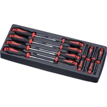 Slagvaste torx-schroevendraaierset, 12-delig PAC5122TT