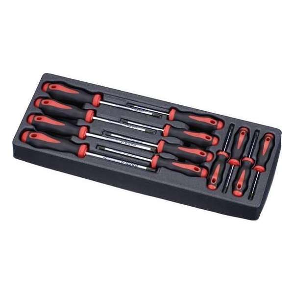 Slagvaste torx-schroevendraaierset, 12-delig PAC5122TT