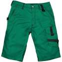 Excess korte broek Champ (792) - Groen | Grijs - 48