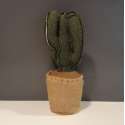 Deurstopper cactus 1,5 kg - deurstop 32 cm hoog