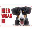 Bord - Hond-Entlebucher-sennenhond