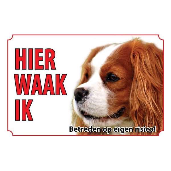 Bord Hond Cavalier King Charles Spaniel