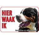 Bord - Hond-Grote-Zwitserse-sennenhond