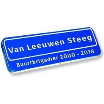 Origineel straatnaambord, tekst in/onder kader 50x15cm - Straatnaambord met eigen naam - Naambord - Gratis verzending!