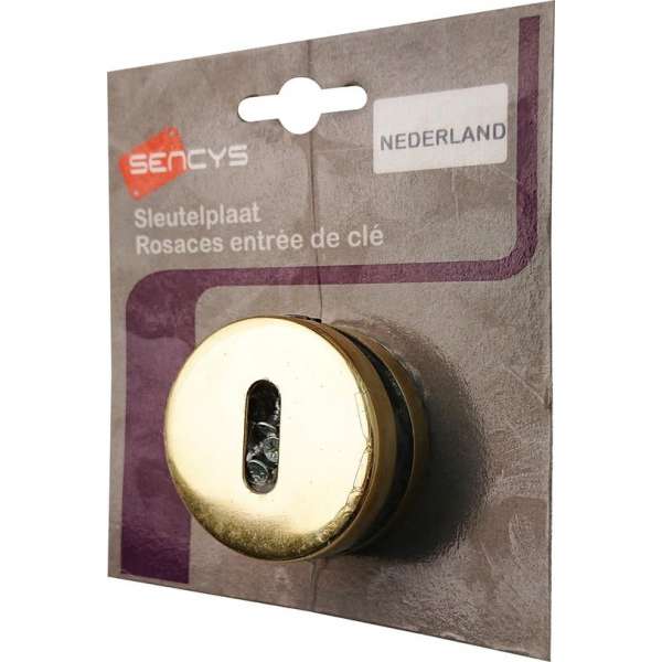 SENCYS type Nederland set 2x sleutelplaat rond model | MESSING