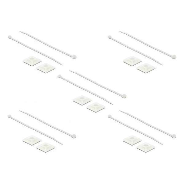 DeLOCK Tie-wraps 300 x 4,8mm (10 stuks) met zelfklevende houders (10 stuks) / transparant