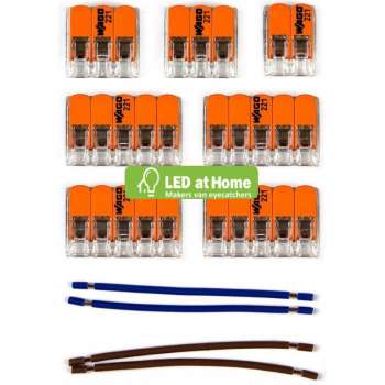 LEDatHOME - WAGO connector kit compatibel met 2x kabel voor 8 gats plafondkap