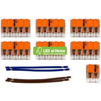 LEDatHOME - WAGO connector kit compatibel met 2x kabel voor 10 gats plafondkap