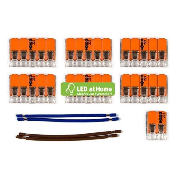 LEDatHOME - WAGO connector kit compatibel met 2x kabel voor 10 gats plafondkap