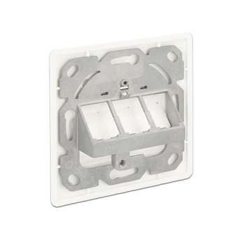 Delock Keystone Wall Outlet - Wanddose-Pure W