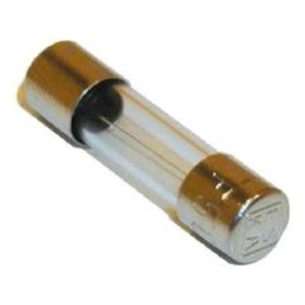 Orbit glaszekering 5x20 F(snel) 2,5A per 5 stuks