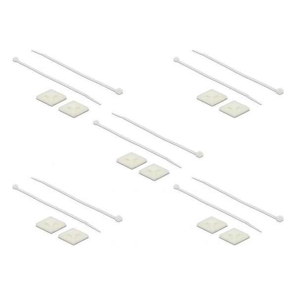 DeLOCK Tie-wraps 200 x 4,8mm (10 stuks) met zelfklevende houders (10 stuks) / transparant