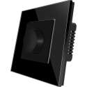 THORN LED DIMMER ZWART (EXCLUSIEF GLASFRAME DIENT APART BESTELD TE WORDEN)