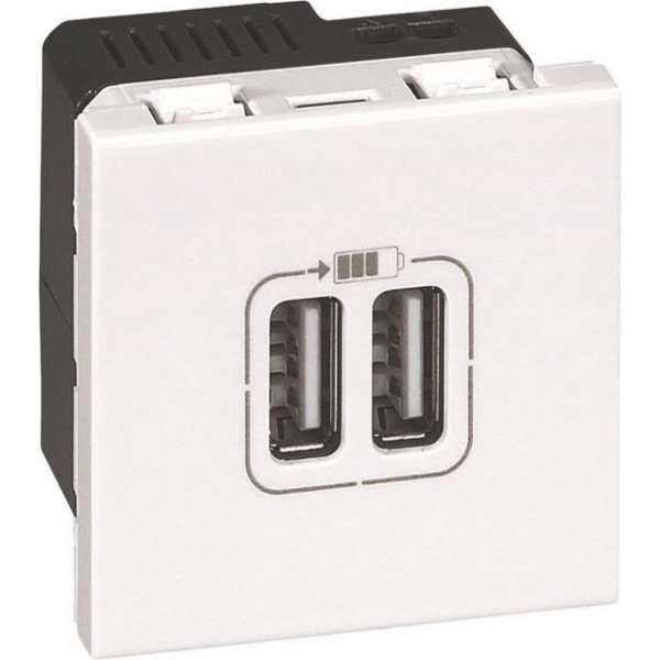 LEGRAND Dubbele USB-aansluiting 2400 mA - 2 modules