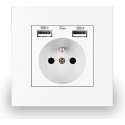 Delviz Dual USB stopcontact -2 USB poorten socket - AC Inbouw Stopcontact - Wandcontactdoos 100 - 250 Volt - Wit