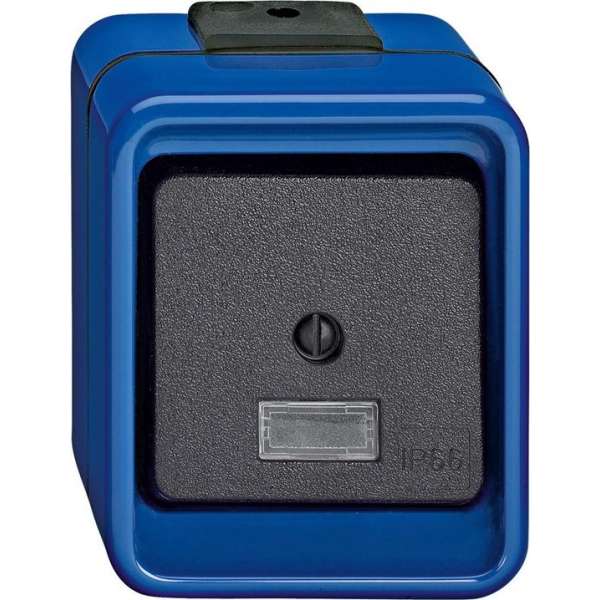 Wisselschakelaar 1V - Blauw - Slagvast - Schneider Electric - 370675