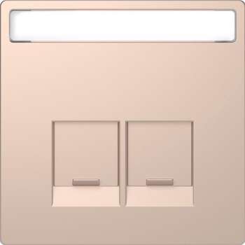 Inzetstuk RJ45 Actassi Tekstveld 2V - Metaal - Champagne Metallic - Systeem Design - Schneider Electric - MTN4574-6051