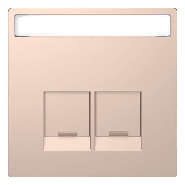 Inzetstuk RJ45 Actassi Tekstveld 2V - Metaal - Champagne Metallic - Systeem Design - Schneider Electric - MTN4574-6051