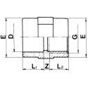 Schroefbus 63 x 2" Lijm x Binnendraad met RVS Ring