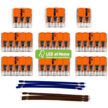 LEDatHOME - WAGO connector kit compatibel met 2x kabel voor 11 gats plafondkap