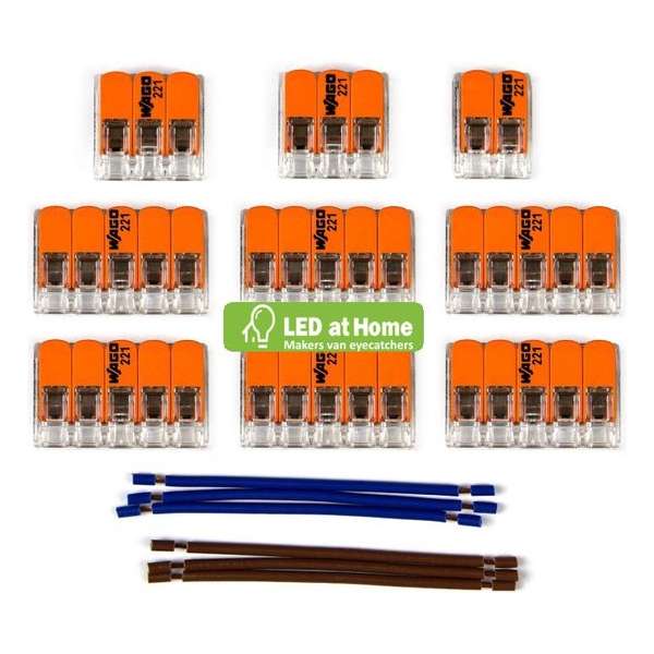 LEDatHOME - WAGO connector kit compatibel met 2x kabel voor 11 gats plafondkap