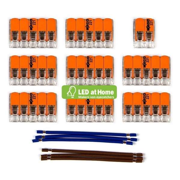 LEDatHOME - WAGO connector kit compatibel met 2x kabel voor 13 gats plafondkap