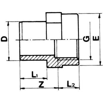 Inzetschroefbus 75 x 2" lijm x binnendraad