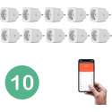 BELIFE® Smart Plug - 10 stuks - Slimme Stekker met ENERGIEMETER - Google Home & Amazon Alexa Compatible - Smart Home