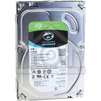 Seagate Harddisk Video 3.5 HDD 4TB SATA 64MB 3.5 inch 303800327